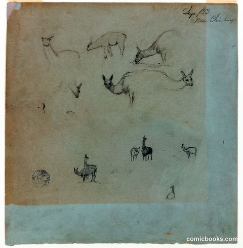 Study of Llamas near Chimborazo, Ecuador