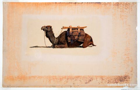 Crouching Dromedary