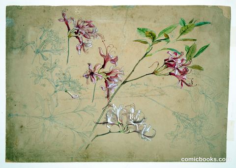Azaleas