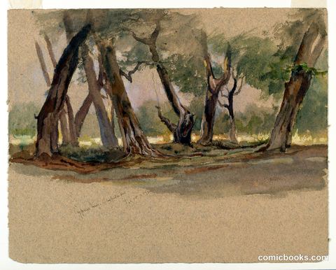 Cypress Trees, Chapultepec, Mexico