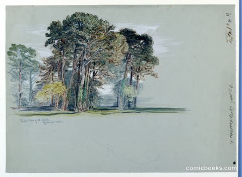 The Pine Trees of El Monte, California
