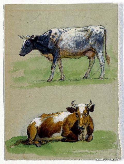 Cattle Studies