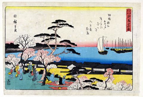 Viewing of the Cherry Blossoms