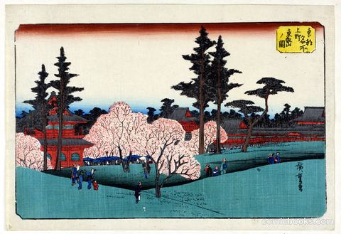 Cherry Blossom Viewing