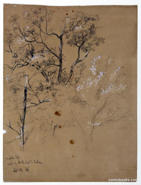 Maple Top on Road to Jackson, New Hampshire