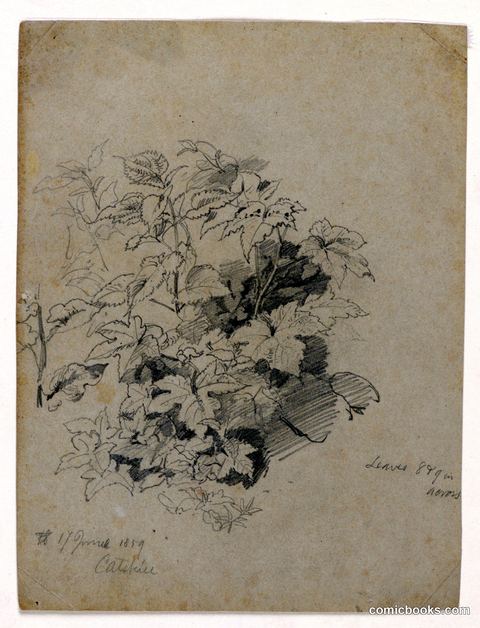 Study of Foliage