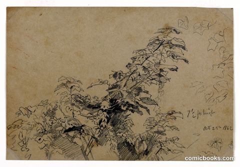 Study of Foliage