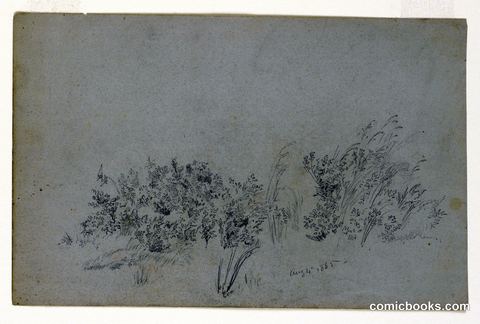 Study of Foliage