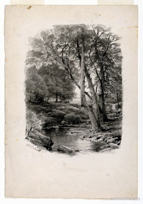 Pool in the Woods