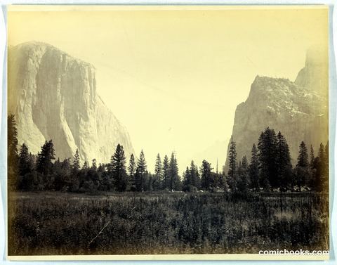 Up the Valley from the Foot of the Mariposa Trail, Yosemite, no. 9
