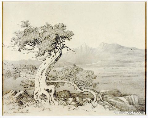 Untitled (Transfer Drawing for Old Cedars and Spanish Peaks)