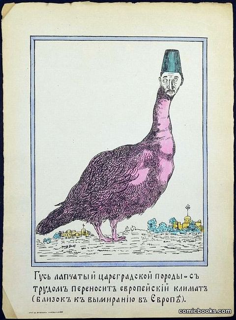 Goose of the Tsargrad Breed