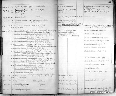 Museum Catalog Entry Page