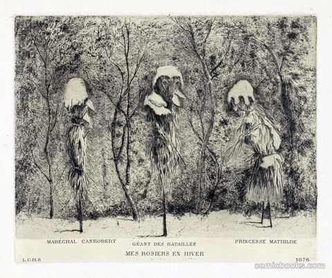Mes Rosiers en Hiver (My Roses in Winter)
