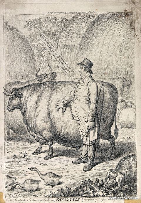 A Fat Judge Pinching and Admiring the Fat on the Side of a Fat Bullock