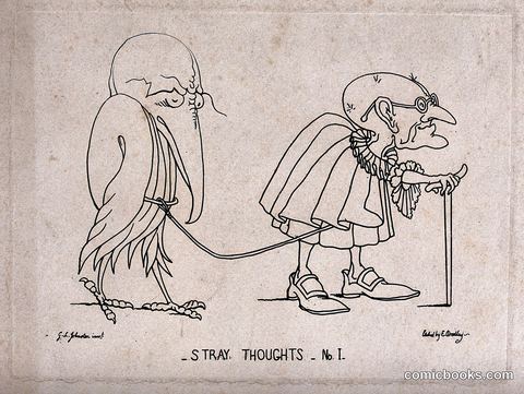 Stray Thoughts No. 1