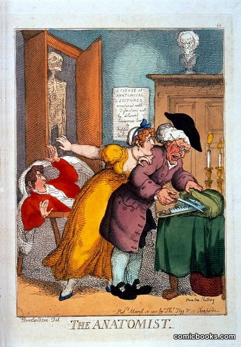 The Anatomist