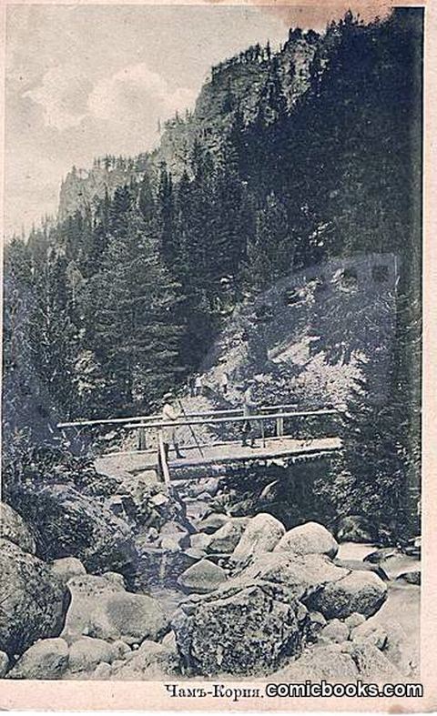 Bridge in the Taiga Forest