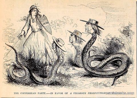 The Copperhead Party—In Favor of a Vigorous Prosecution of Peace!