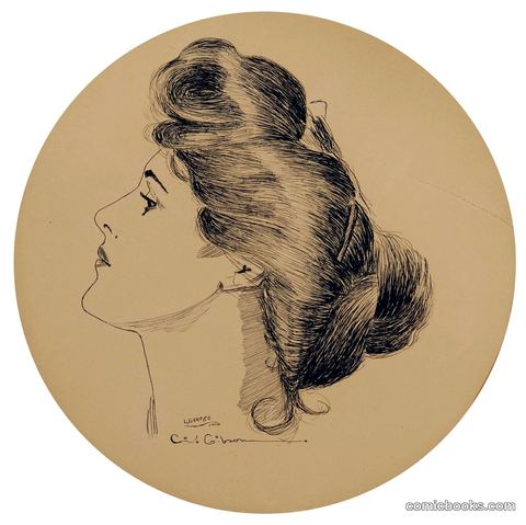 Gibson Girl, Profile