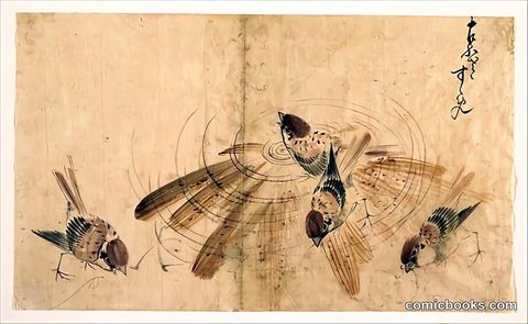 Sparrows
