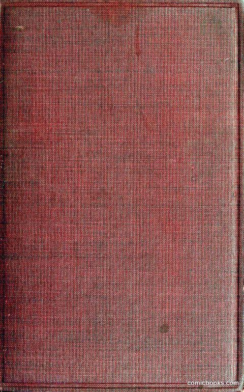 The Evil Genius: A Domestic Story