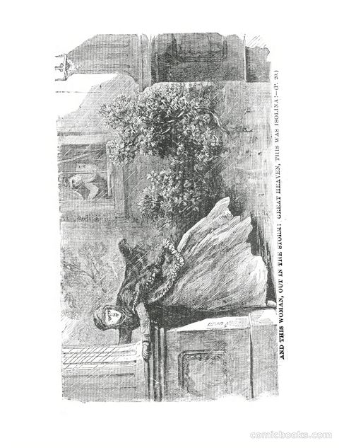 Beautiful Rienzi; or, The secret vendetta