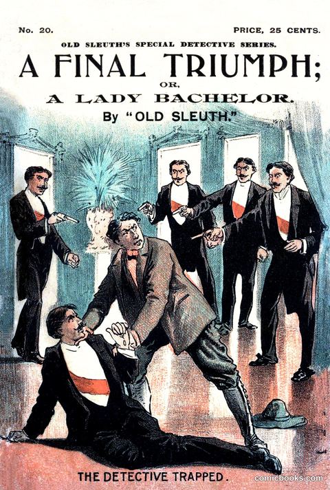 A Final Triumph; or, A Lady Bachelor