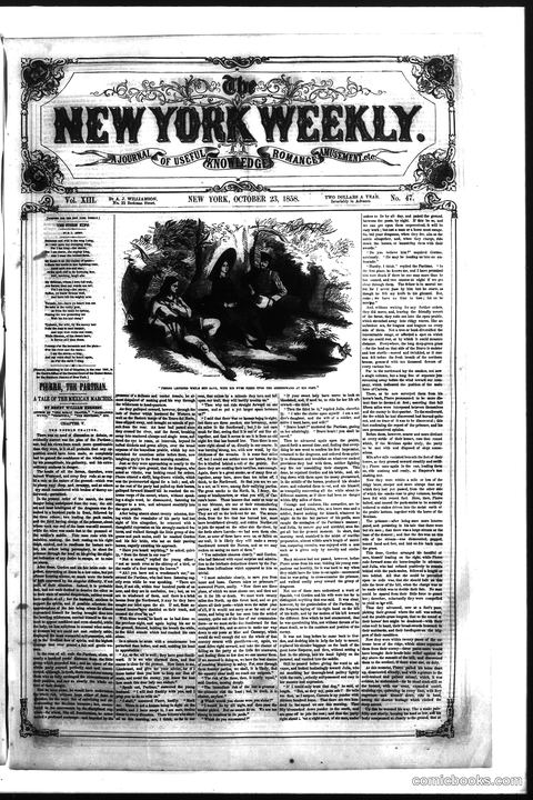 The New York Weekly, Vol. XIII, No. 47