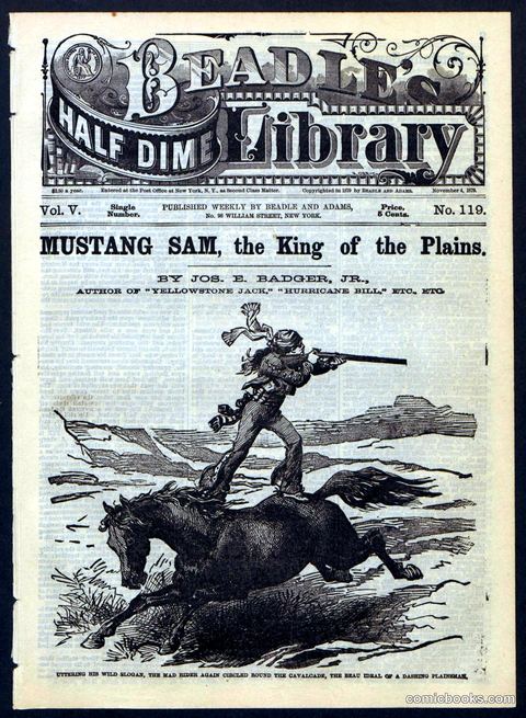 Beadle's Half Dime Library No. 119