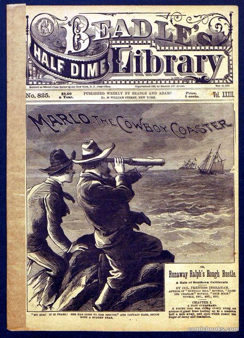 Beadle's Half Dime Library No. 825