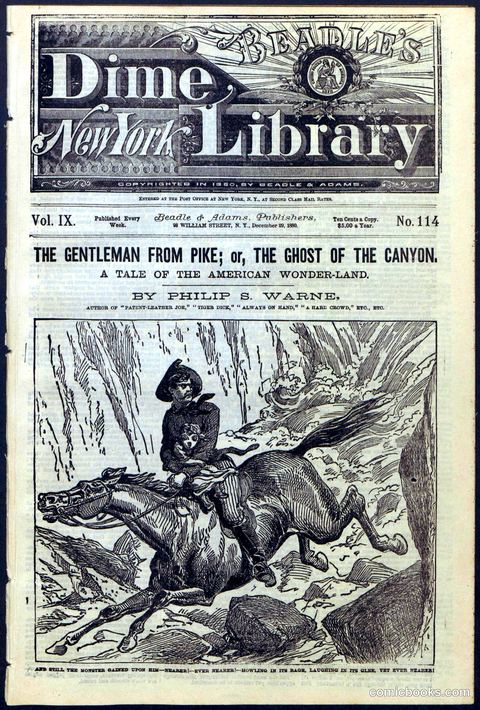 Beadle's New York Dime Library No. 114