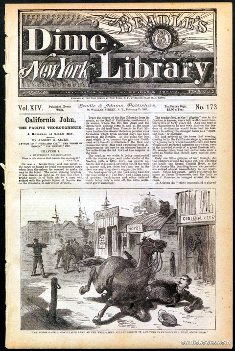 Beadle's New York Dime Library, No. 173