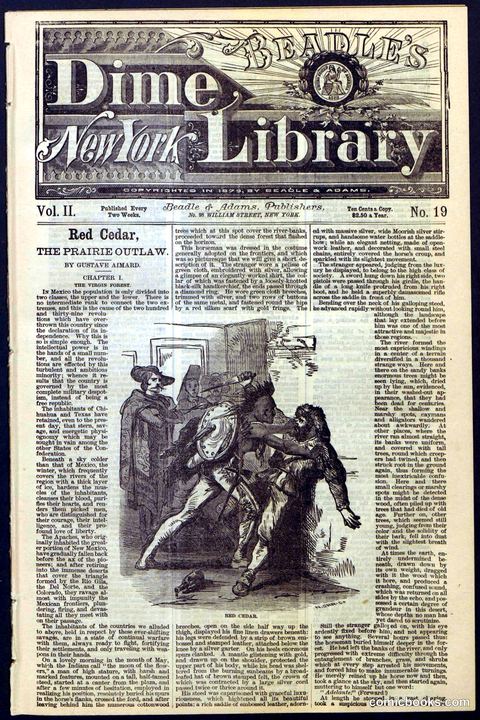Beadle's New York Dime Library No. 19