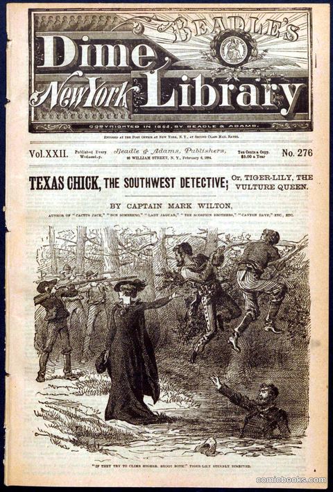 Beadle's Dime Library, No. 276