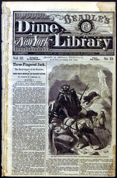 Beadle's New York Dime Library No. 28
