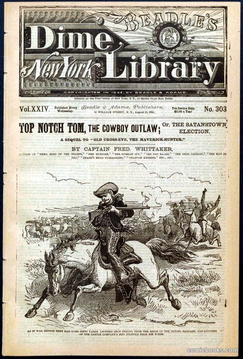 Beadle's New York Dime Library No. 303