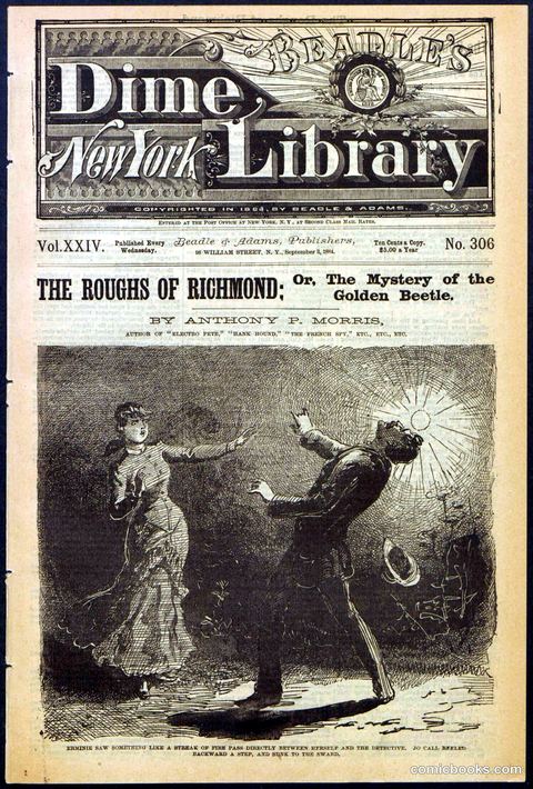Beadle's New York Dime Library, No. 306