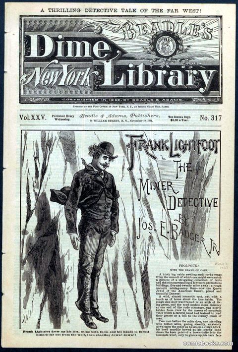 Beadle's Dime Library No. 317