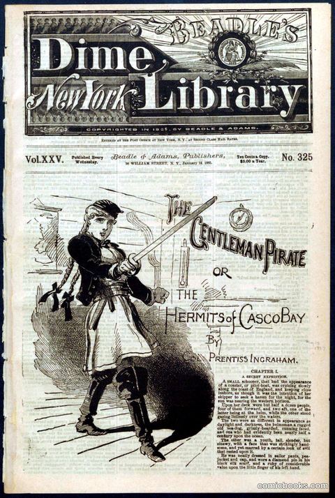 Beadle's New York Dime Library No. 325