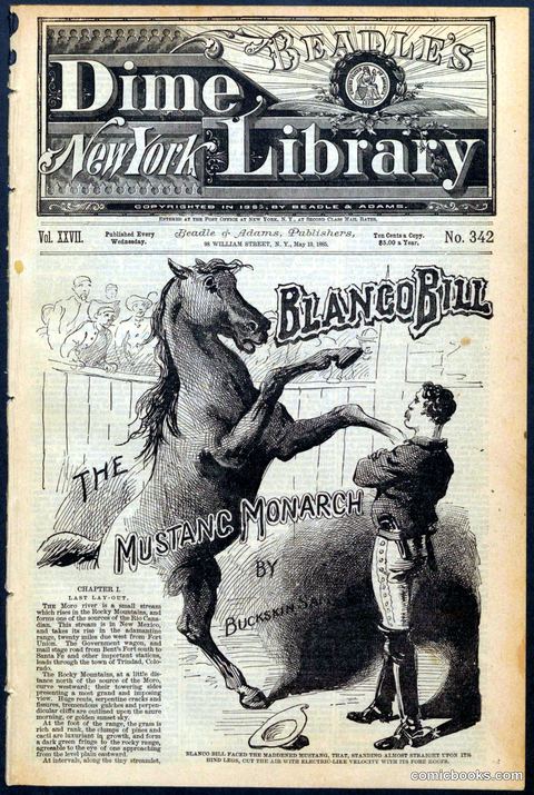 Beadle's New York Dime Library, No. 342