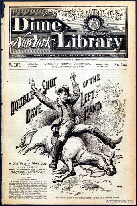 Beadle's Dime Library No. 344