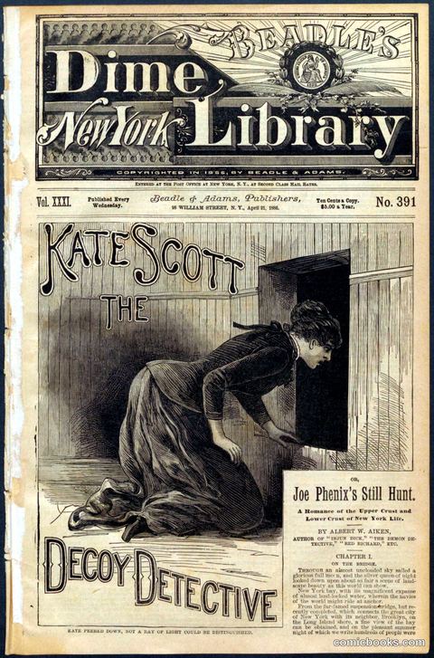 Beadle's Dime Library No. 391