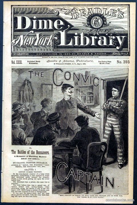 Beadle's New York Dime Library No. 393