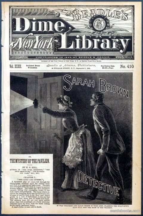 Beadle's New York Dime Library No. 410