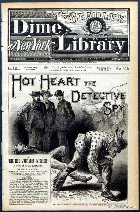 Beadle's Dime Library No. 415