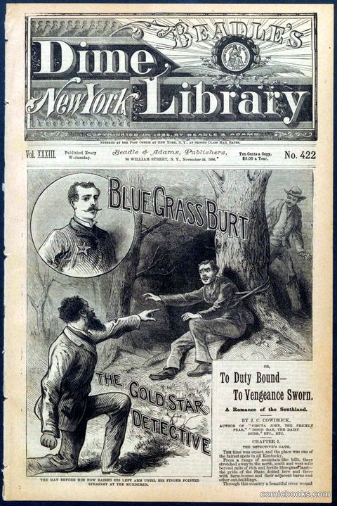 Beadle's New York Dime Library, No. 422