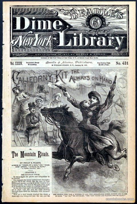 Beadle's New York Dime Library No. 431
