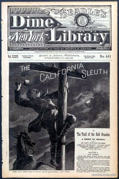 Beadle's New York Dime Library No. 441