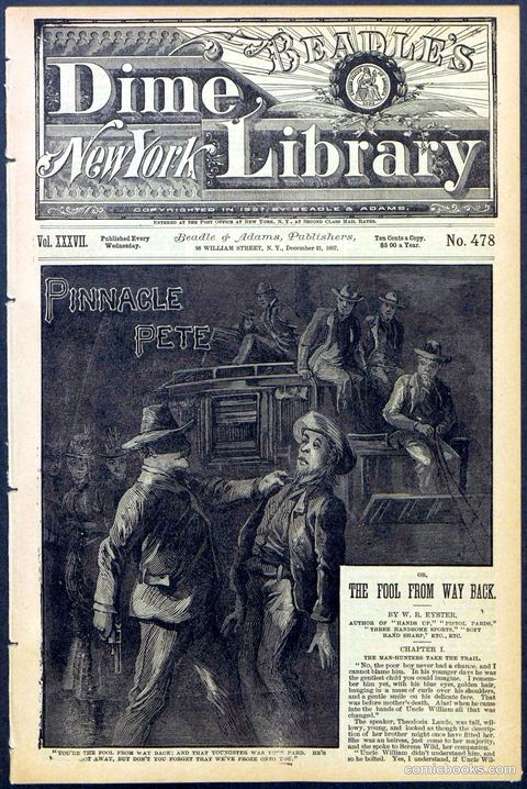 Beadle's New York Dime Library, No. 478